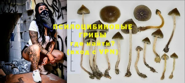 ALPHA-PVP Заводоуковск