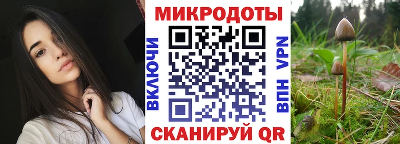 Галлюциногенные грибы Psilocybine cubensis  Купить закладки  Шарыпово 